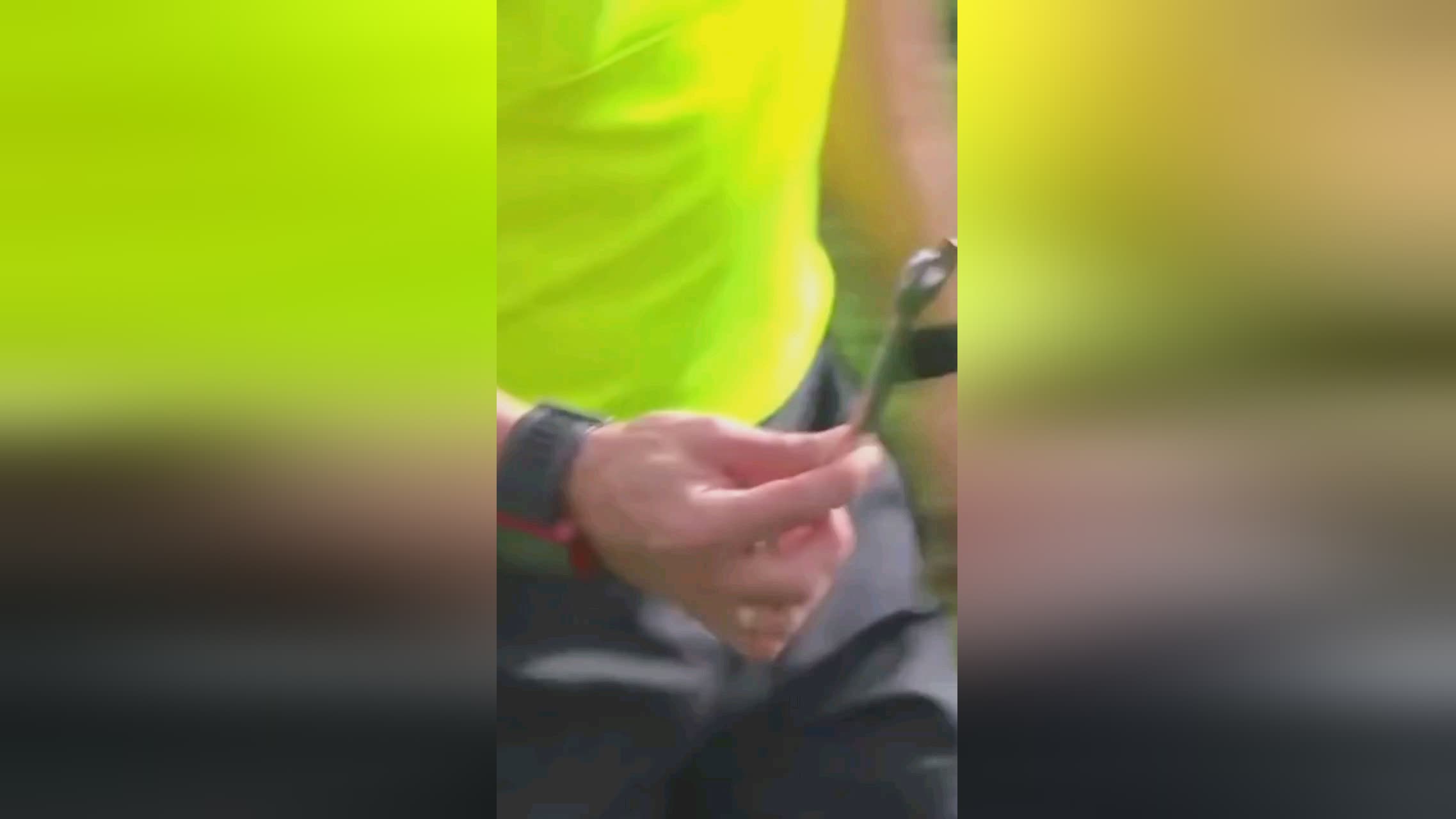 近年